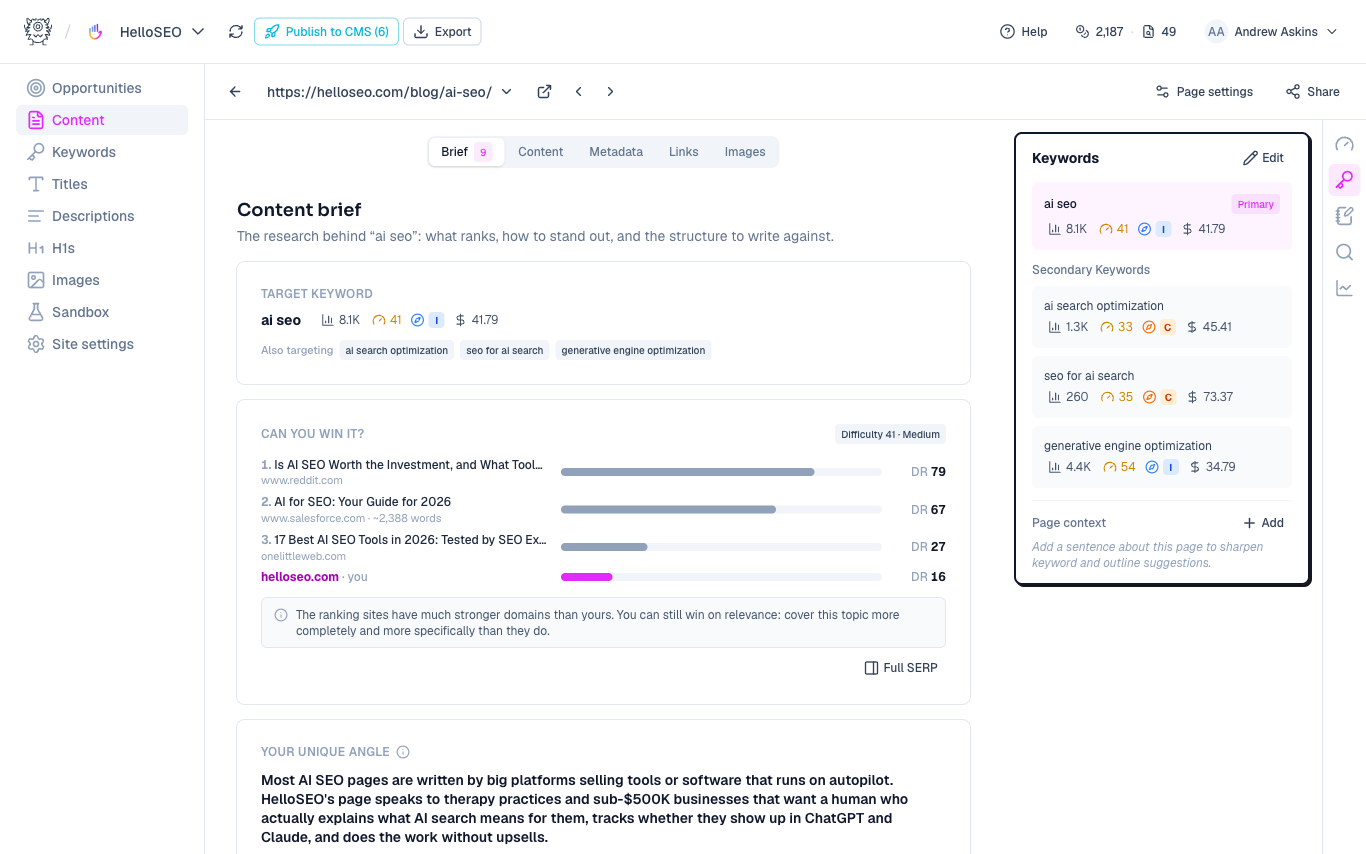 Content brief showing SERP competitors and a unique angle for the page