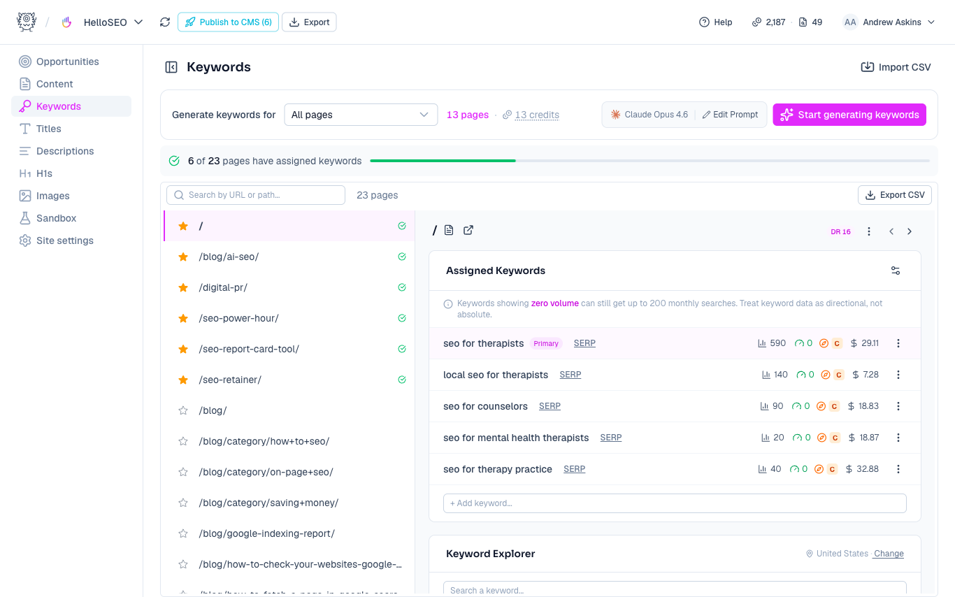 Keywords view with volume, difficulty, and intent for each page