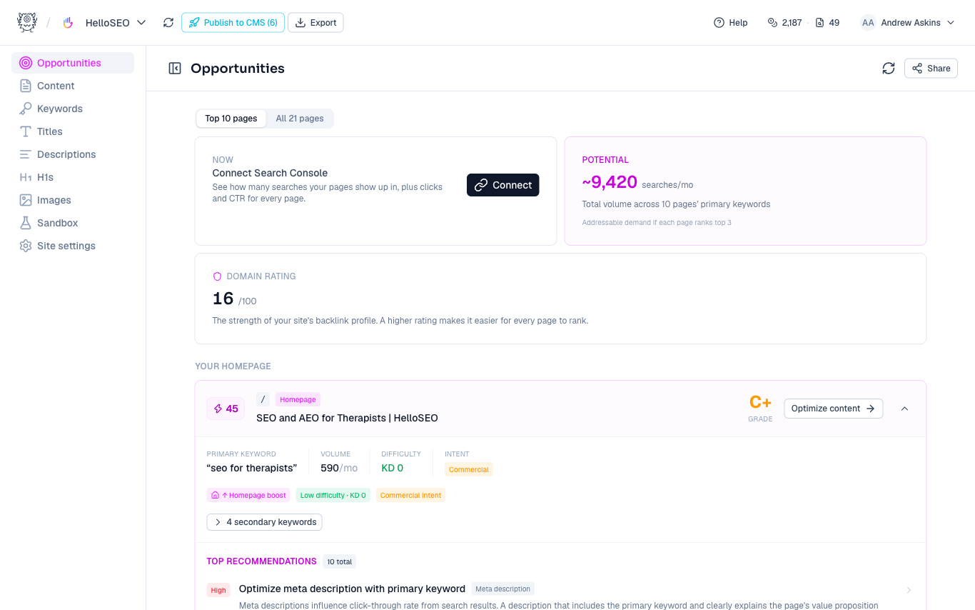 Opportunities dashboard ranking pages by search potential